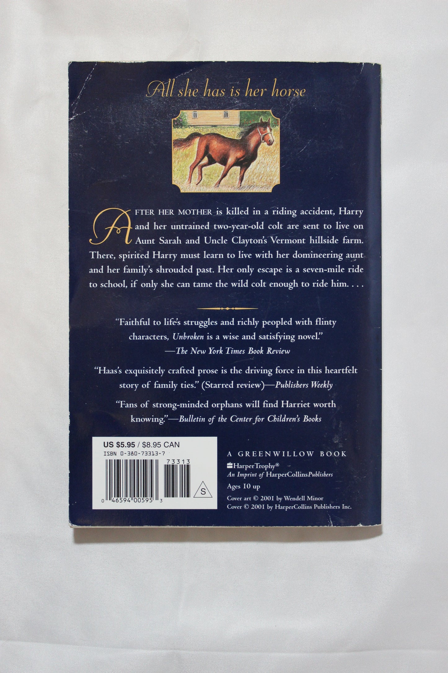 Unbroken by Jessie Haas - Well Loved EQ