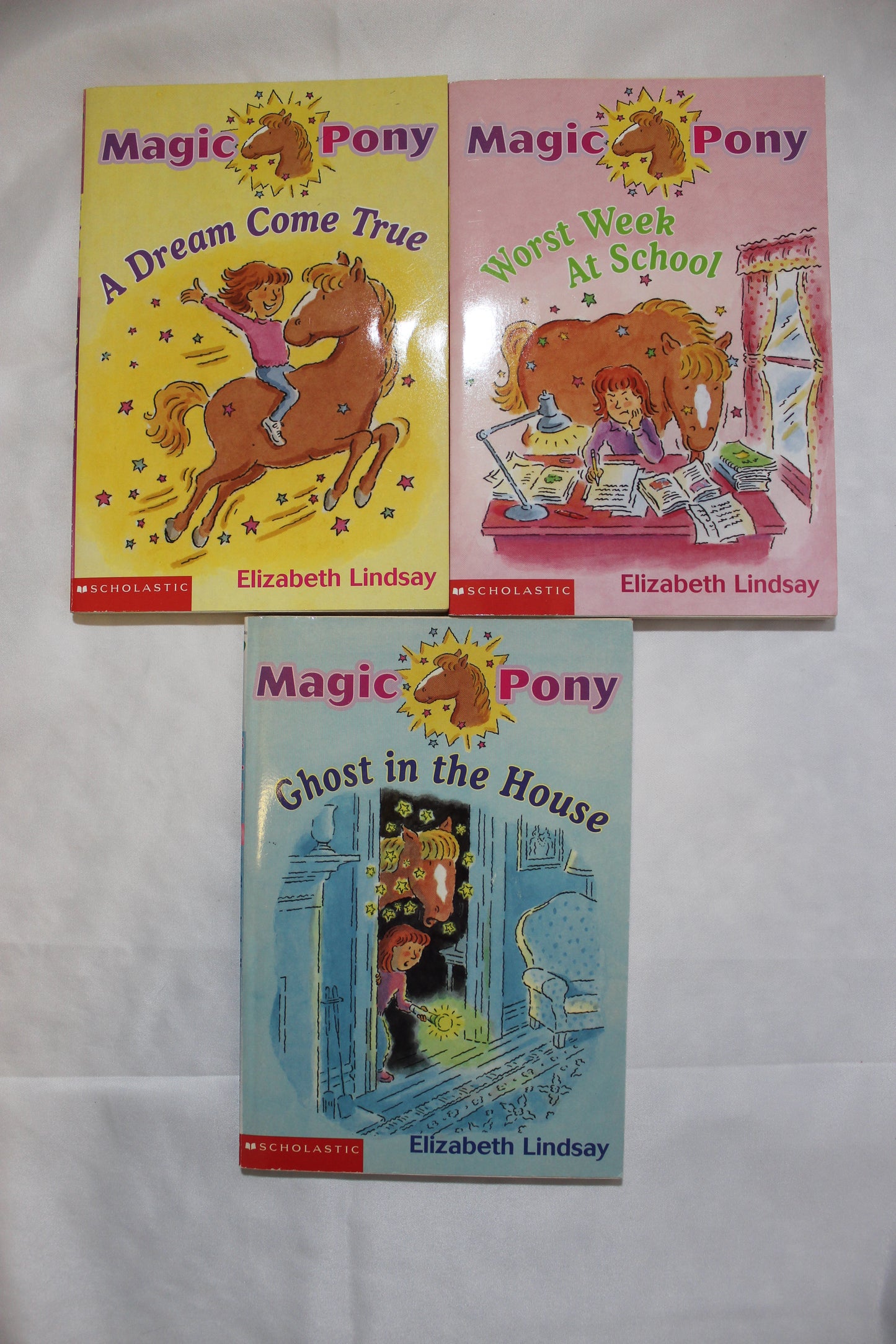 Magic Pony Series by Elizabeth Lindsay (Bundle) - Well Loved EQ