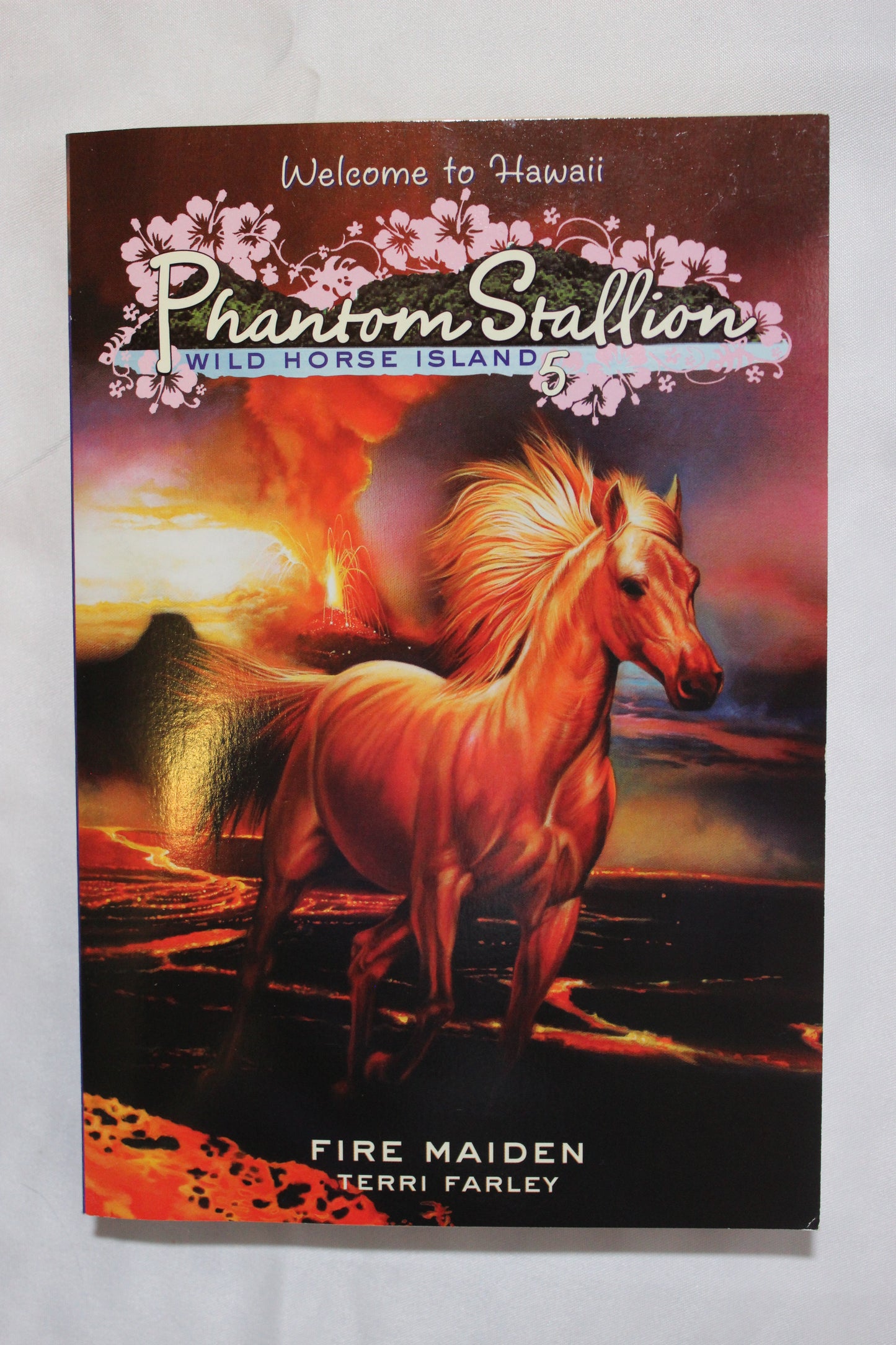 Fire Maiden by Terri Farley - Well Loved EQ