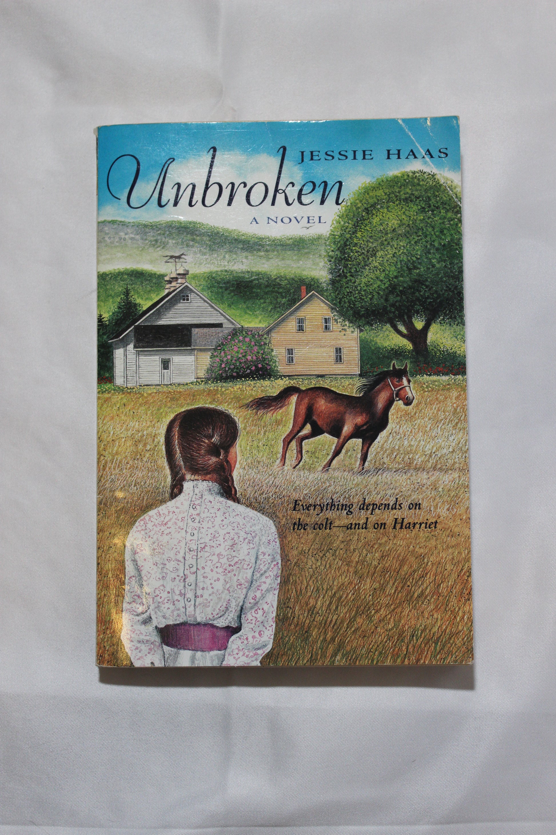 Unbroken by Jessie Haas - Well Loved EQ