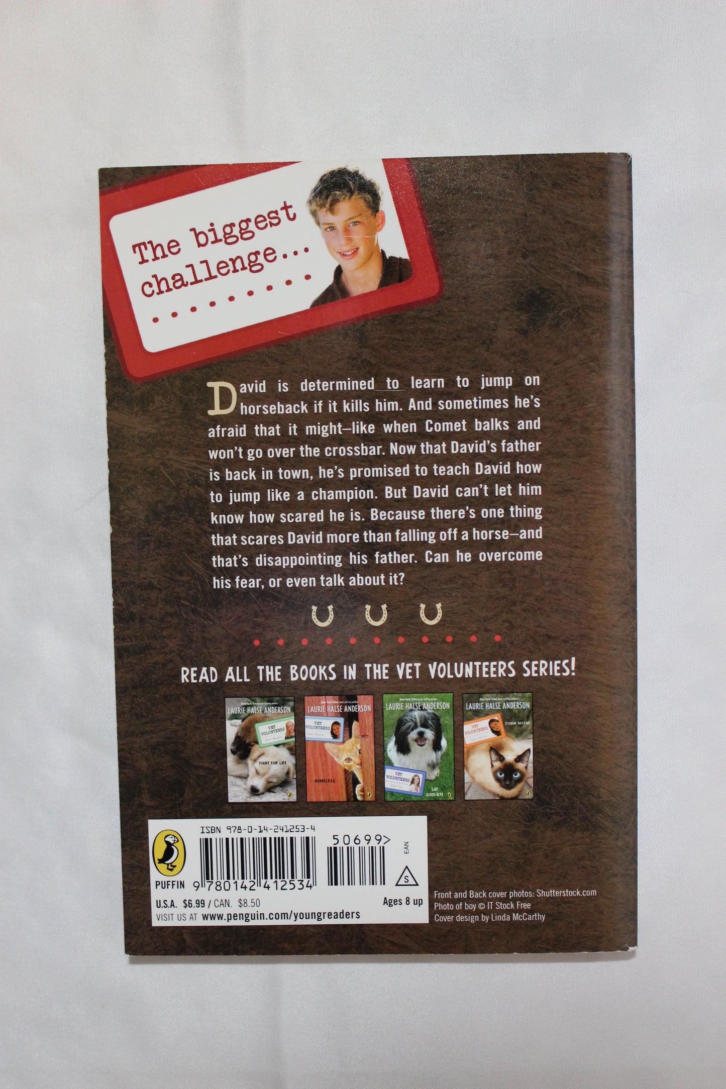 Vet Volunteers: Fear of Falling by Laurie Halse Anderson - Well Loved EQ