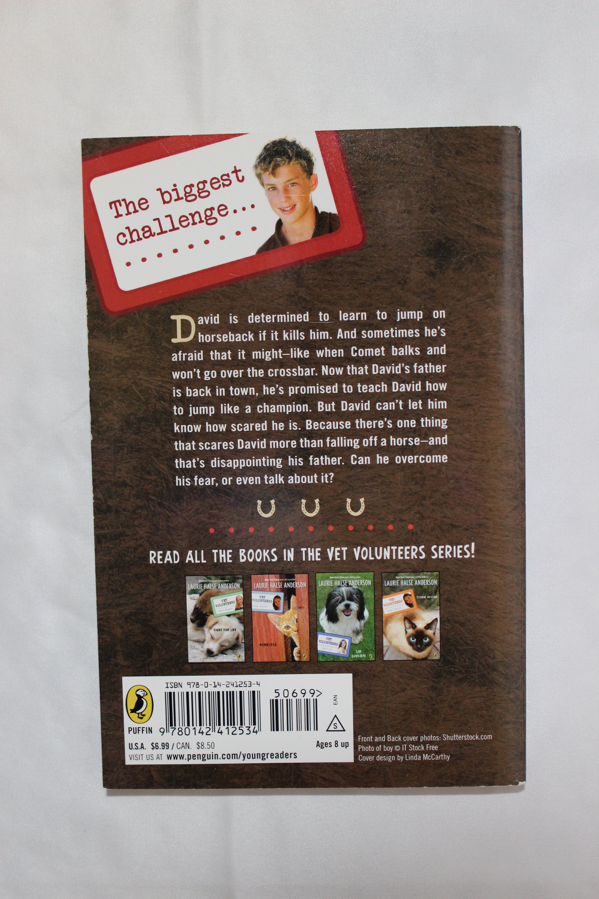 Vet Volunteers: Fear of Falling by Laurie Halse Anderson - Well Loved EQ