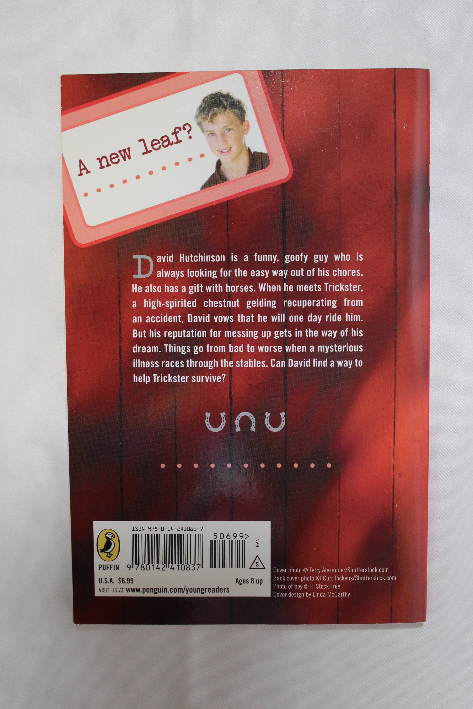Vet Volunteers: Trickster by Laurie Halse Anderson - Well Loved EQ