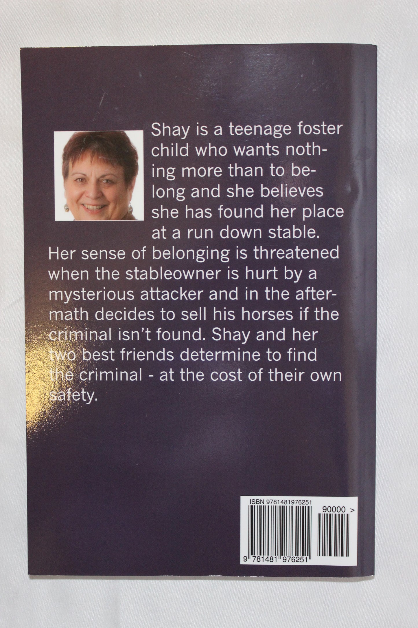 A Shay James Mystery: Good Enough by Brenda McCreight - Well Loved EQ