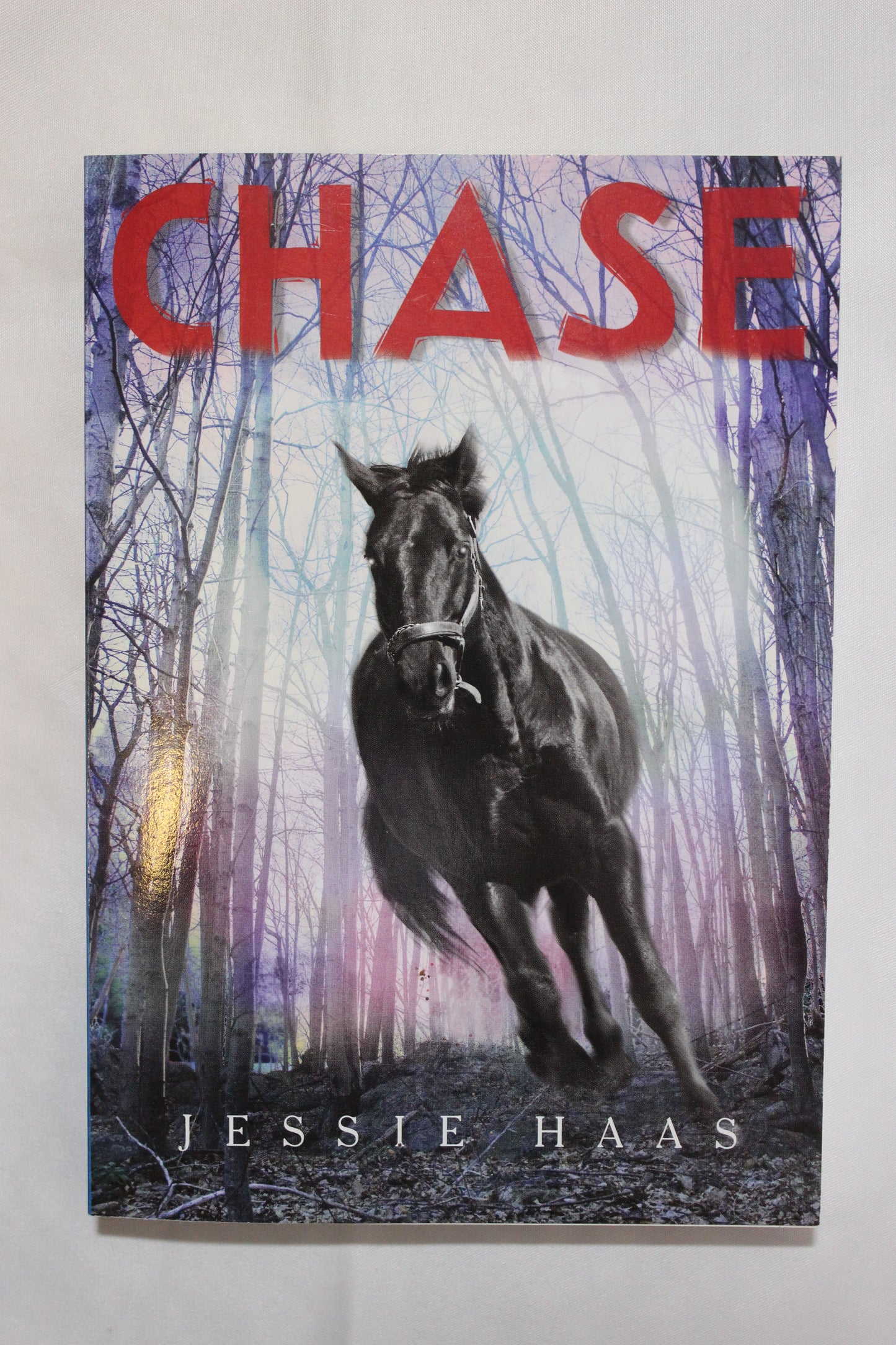 Chase by Jessie Haas - Well Loved EQ