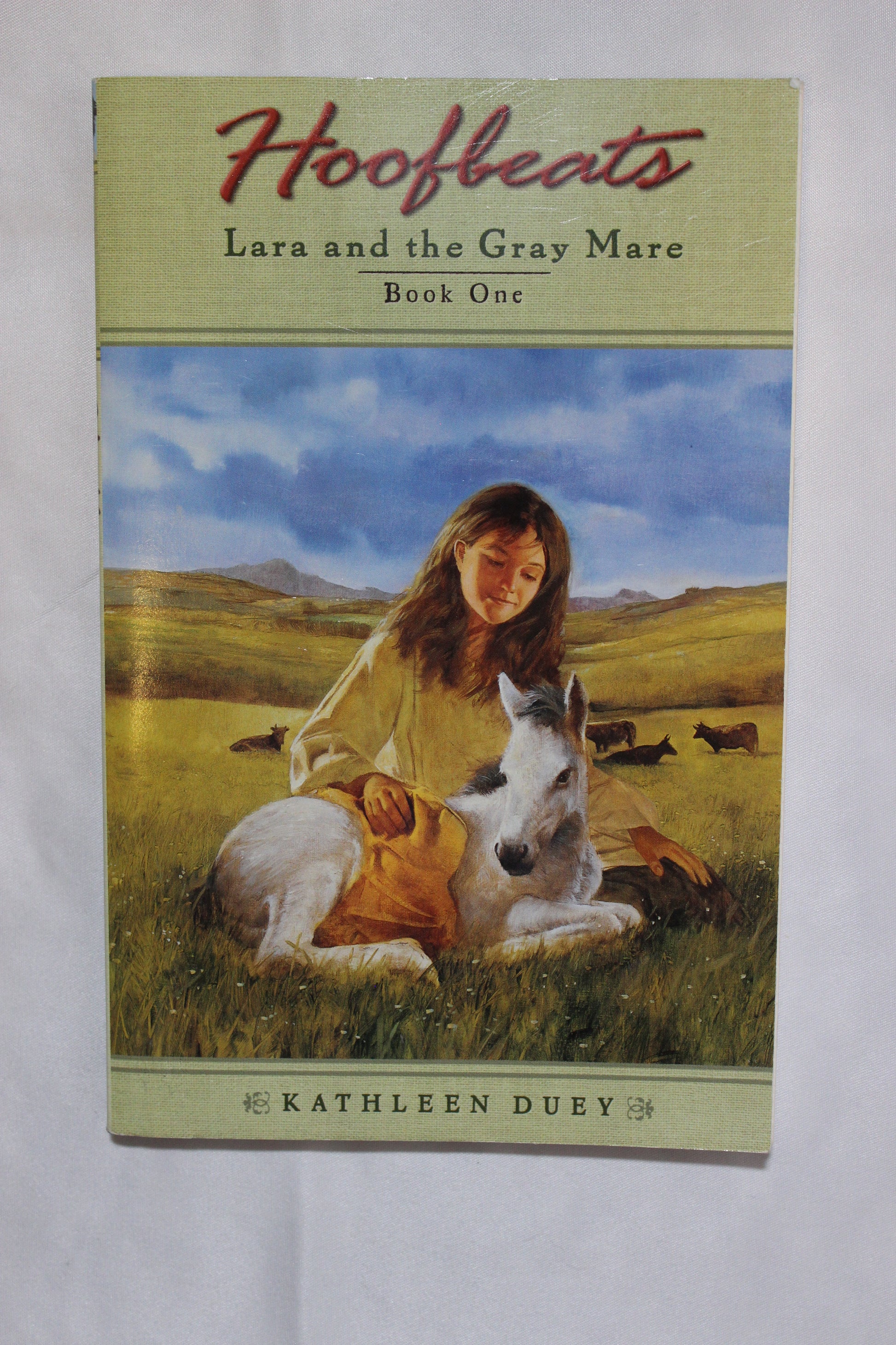 Hoofbeats: Lara and the Gray Mare by Kathleen Duey - Well Loved EQ