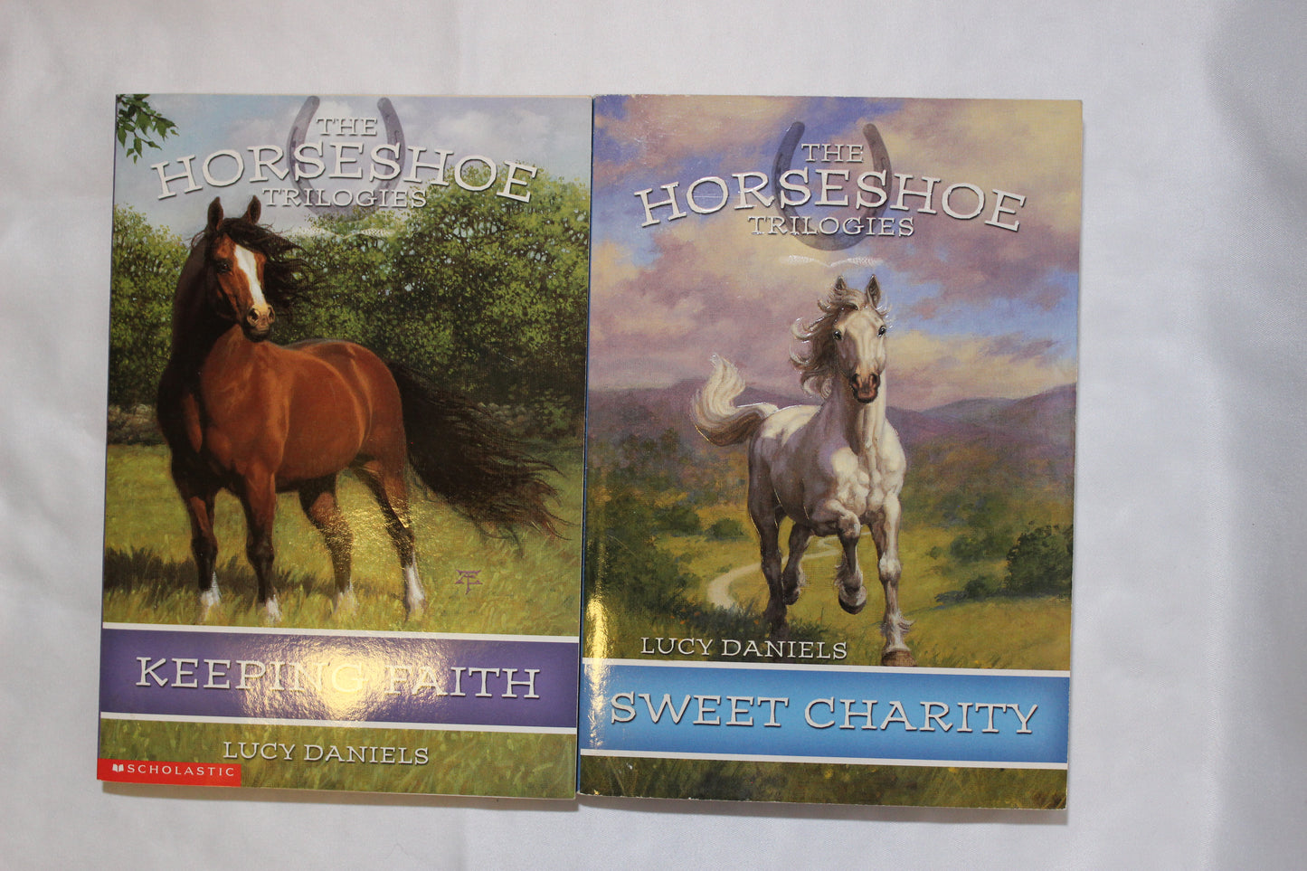 The Horseshoe Trilogies series by Lucy Daniels (Bundle) - Well Loved EQ