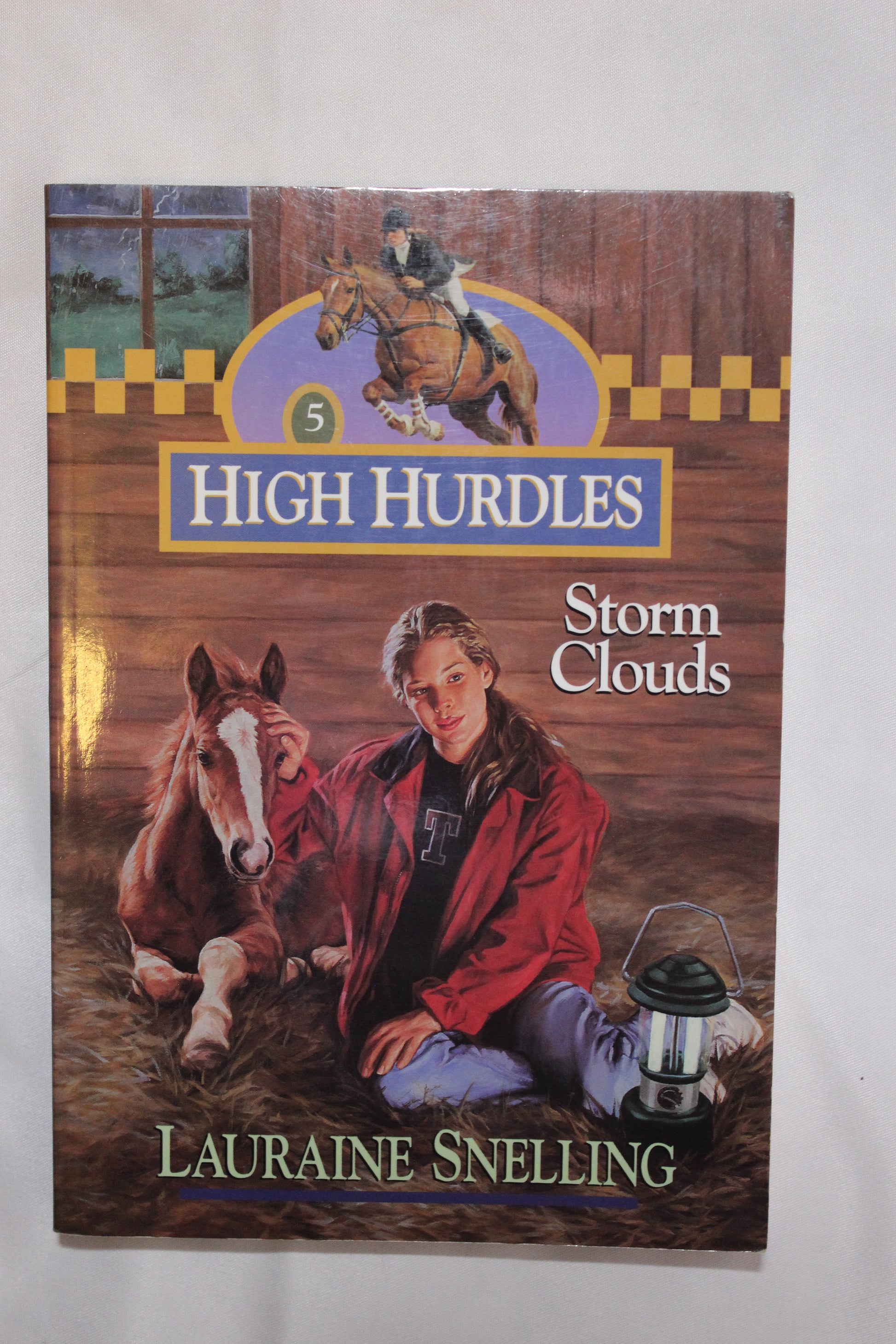 High Hurdles: Storm Clouds by Lauraine Snelling - Well Loved EQ