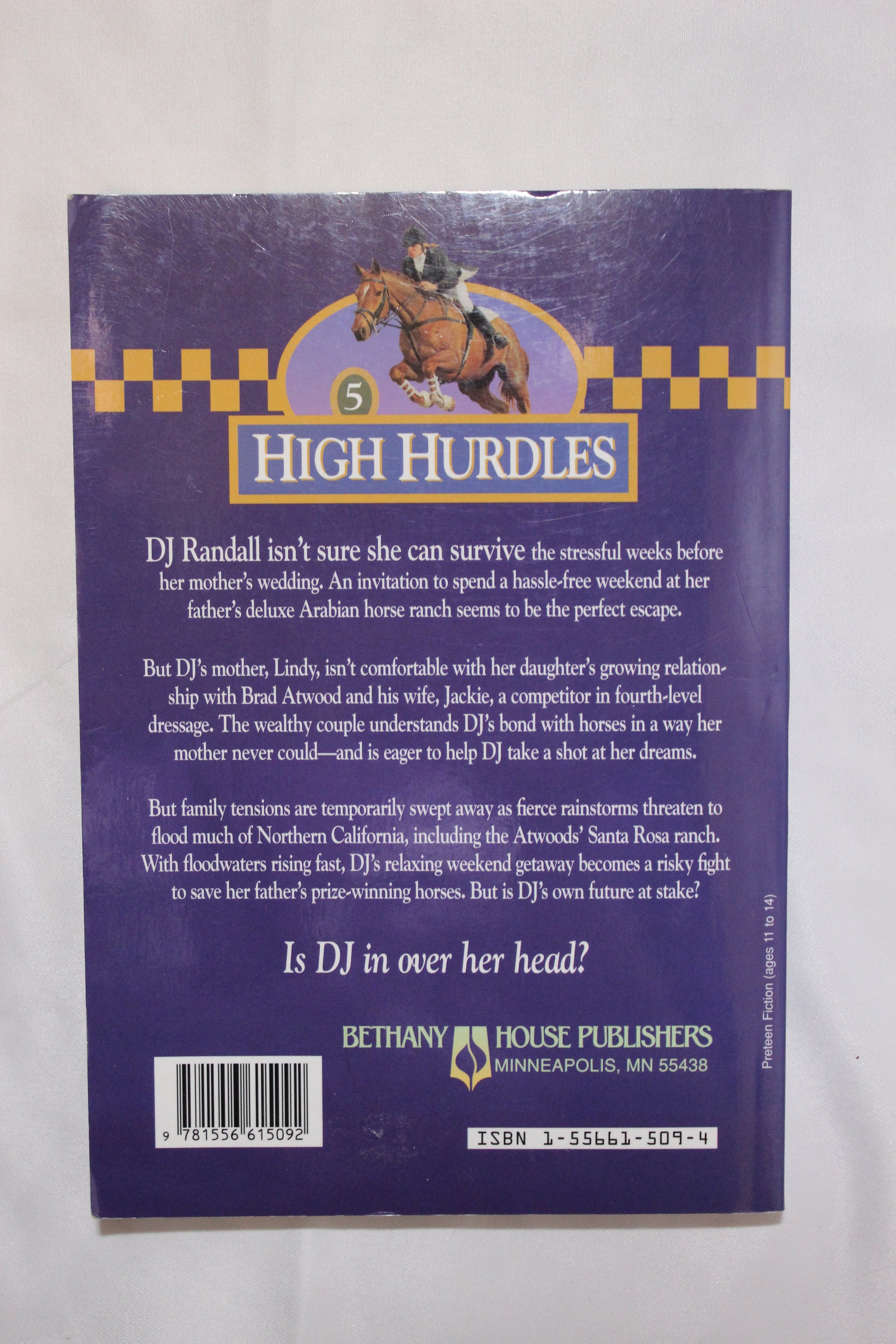 High Hurdles: Storm Clouds by Lauraine Snelling - Well Loved EQ