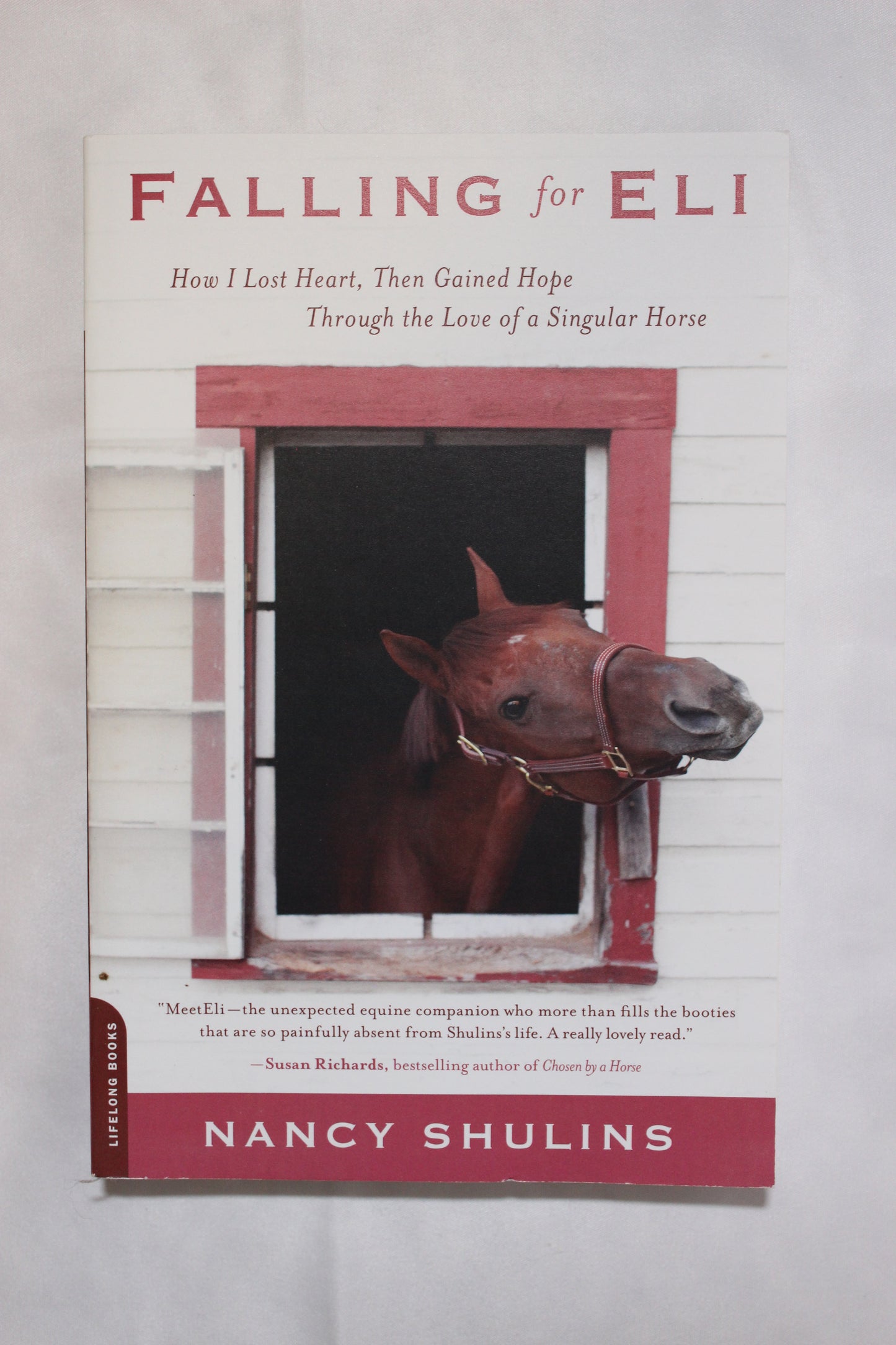 Falling for Eli by Nancy Shulins - Well Loved EQ